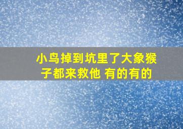 小鸟掉到坑里了大象猴子都来救他 有的有的